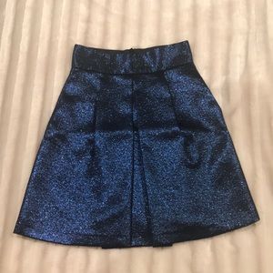 Zara Basic Metallic A-Line Party Skirt